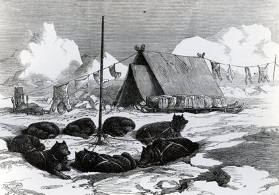 Schlittenreisen: Methode zum Anbinden von Hunden beim Campen, 1876 von English School
